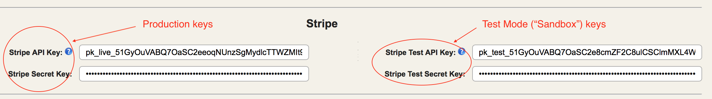 AG Company Settings Stripe.png